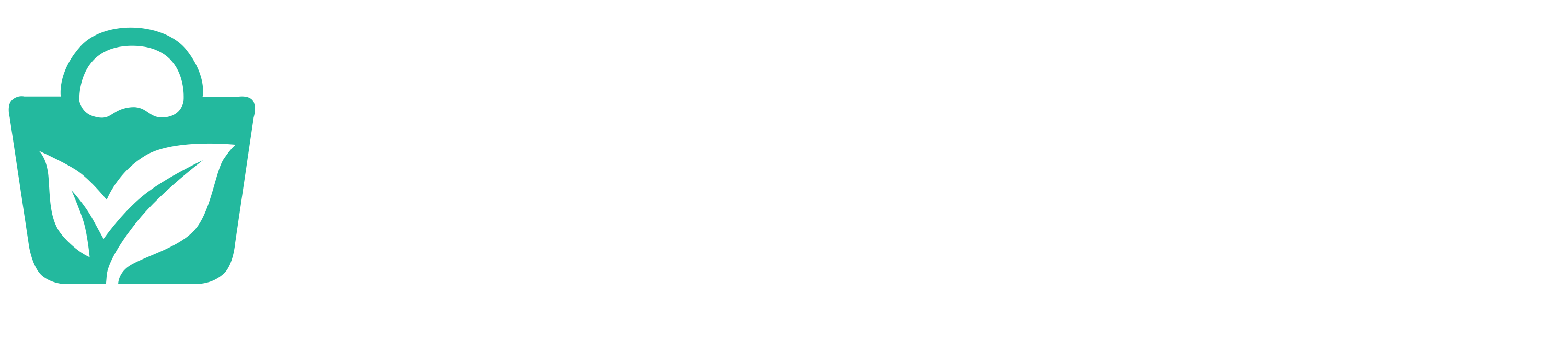 Logo-White-Nexacarry